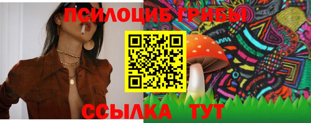 Изобильный  купить  сайты  Вход с VPN  Галлюциногенные грибы MAGIC MUSHROOMS 